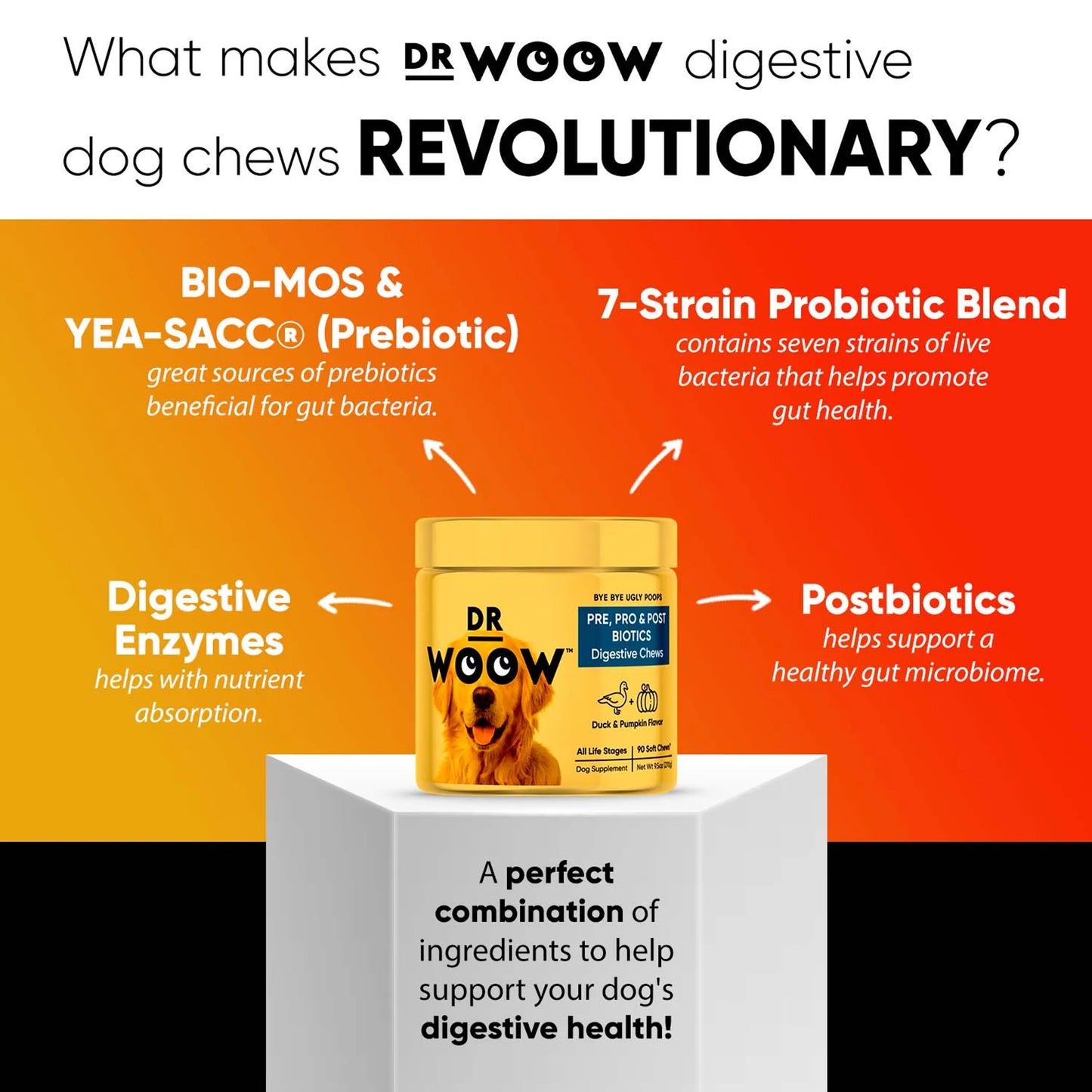 1. Dr Woow Digestion Soft Chews