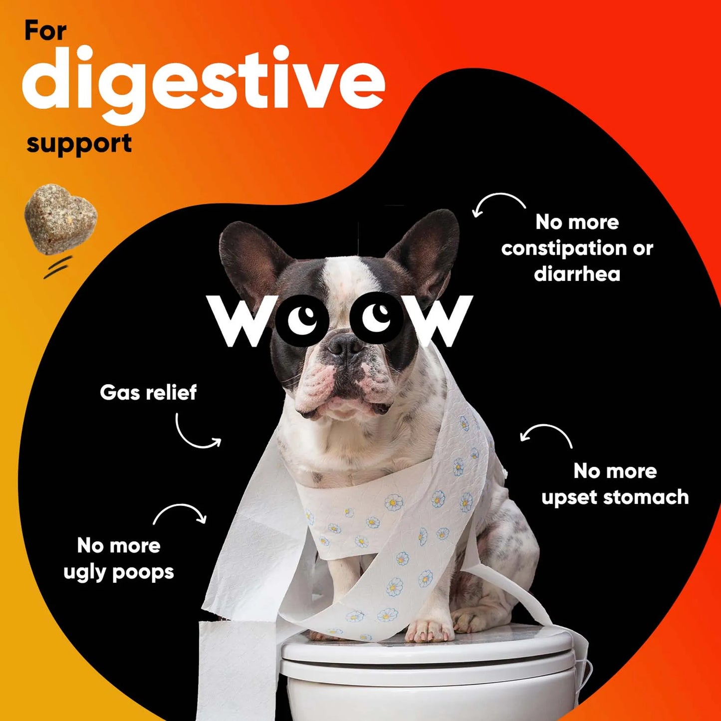 1. Dr Woow Digestion Soft Chews