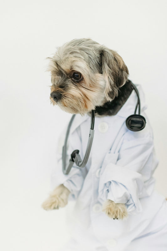 Veterinary Clinical Practice Training